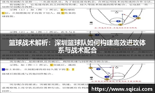 彩乐园平台